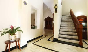 Zvt7nr1953ljxn3jwkt5mhpwj56w cennet8