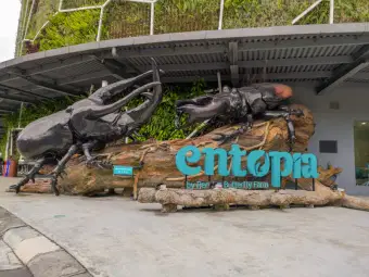 See and get to know about various species of insects at Entopia