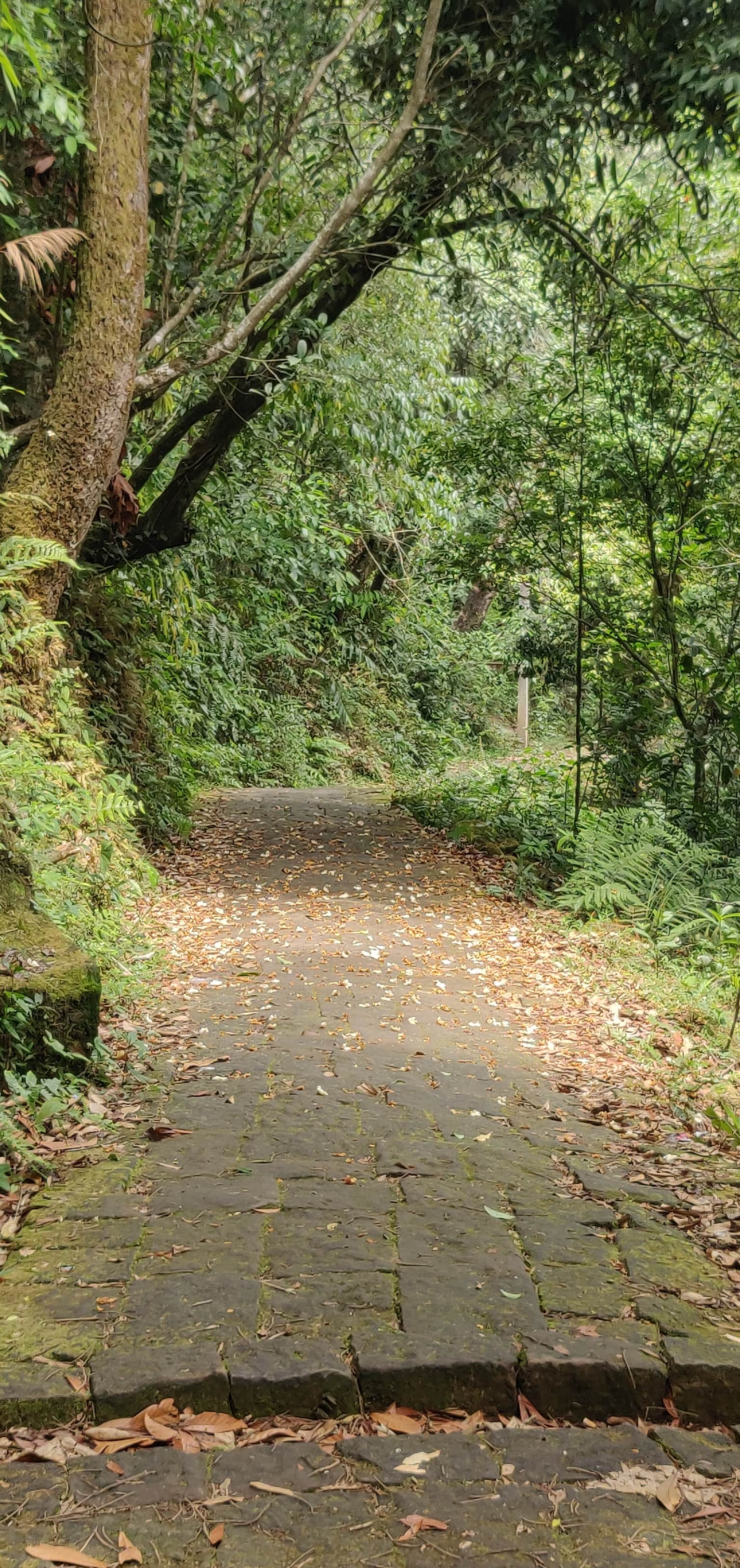 Photo from Sirisha  's trip