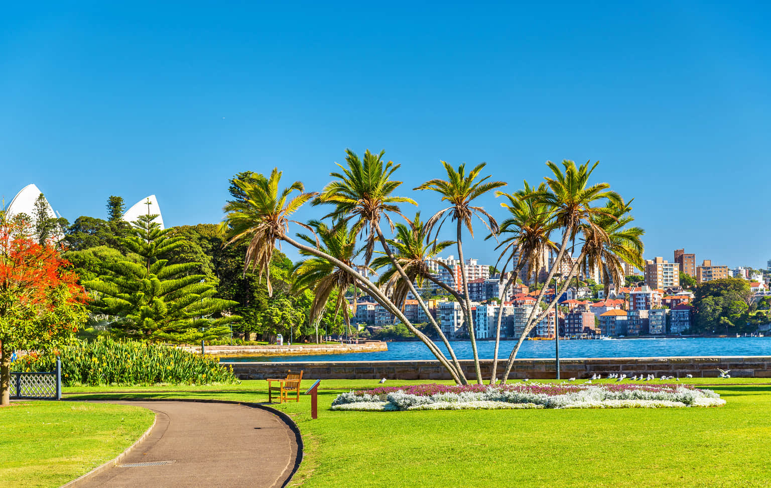 Royal Botanic Gardens, Sydney, <em>Sydney</em>