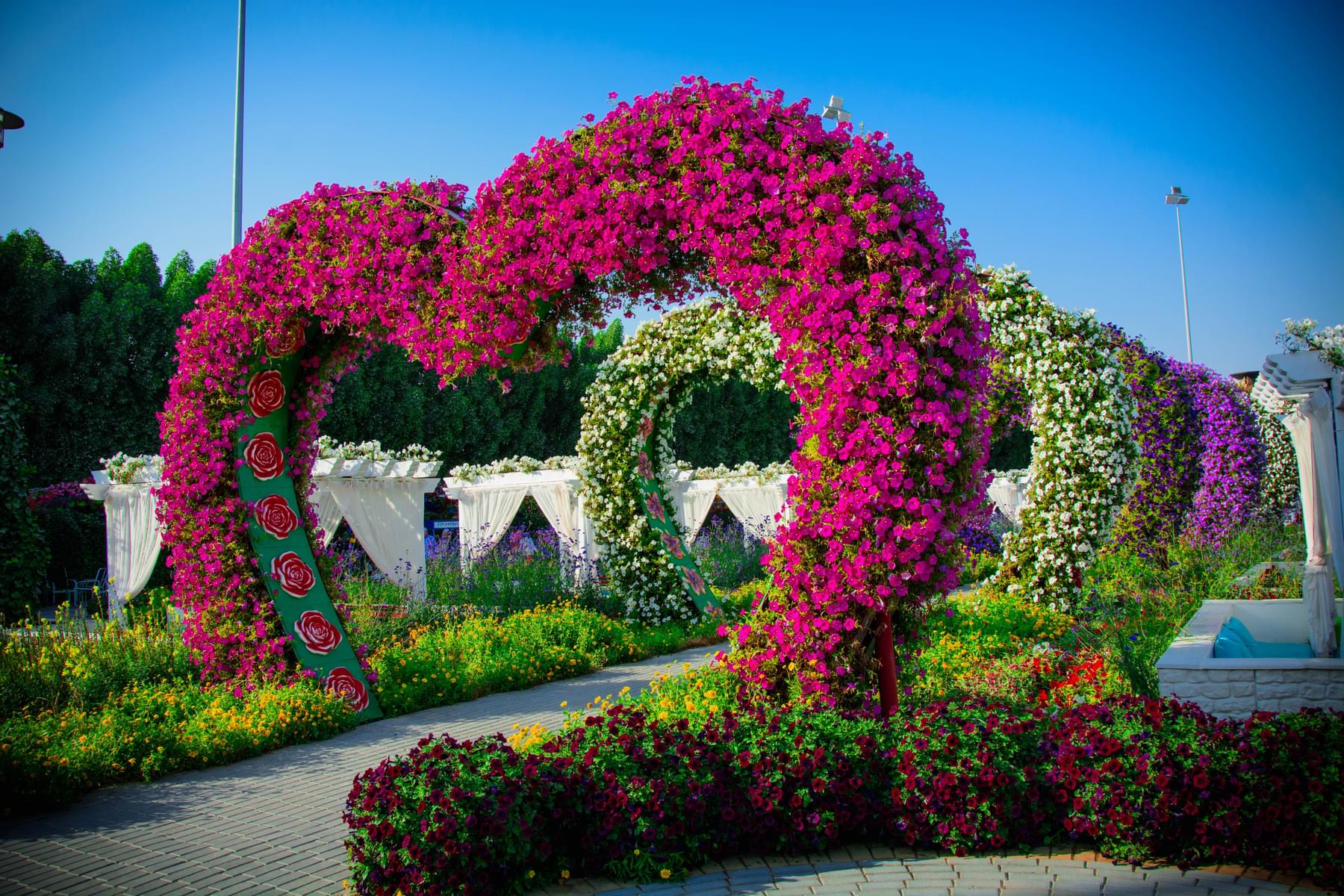 What Is The Best Way to Get to the Miracle Garden?