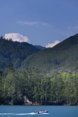 Zxi175yw1bdlf22ebvcq8zfxiazq shutterstock 2258636723