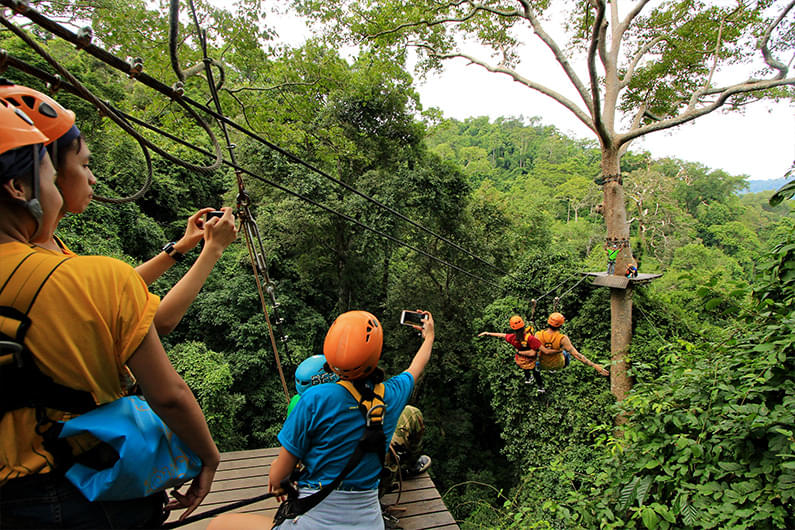 Soar over the trees of the Thai rainforest