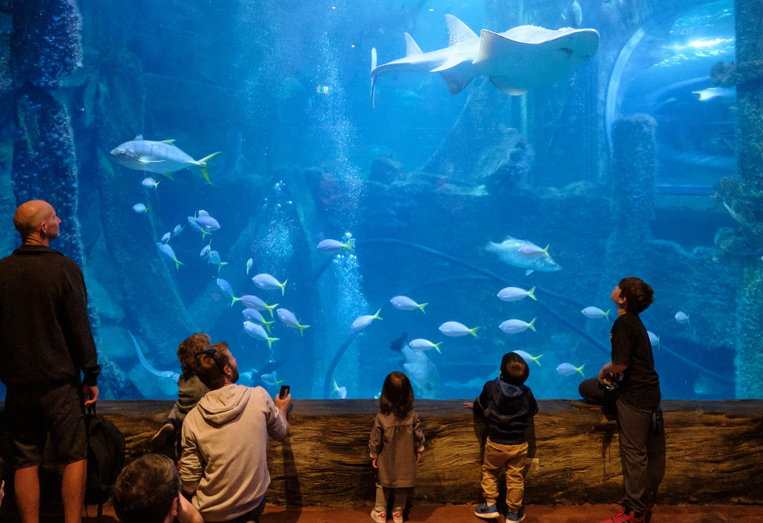Incredible Exhibits