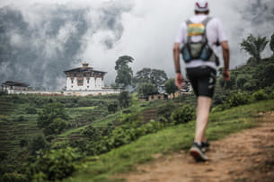 Zybn9kg27xy43teng8xooo0c9fj3 shutterstock 345255524