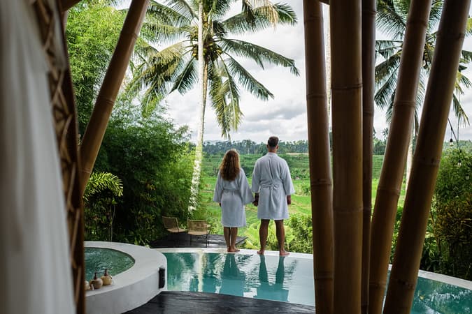 Zyh56dx2jy0fxh0aw65y4i2ggygd shutterstock 2583267285