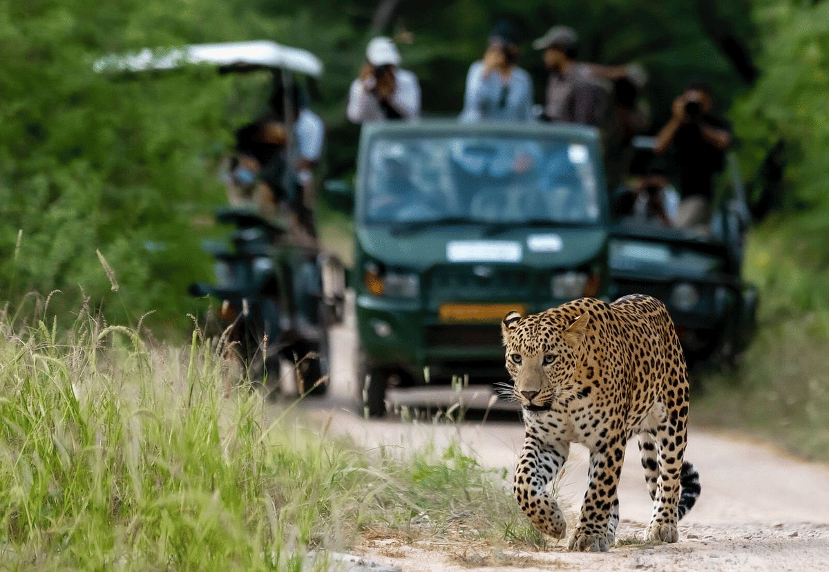 Photography Tours