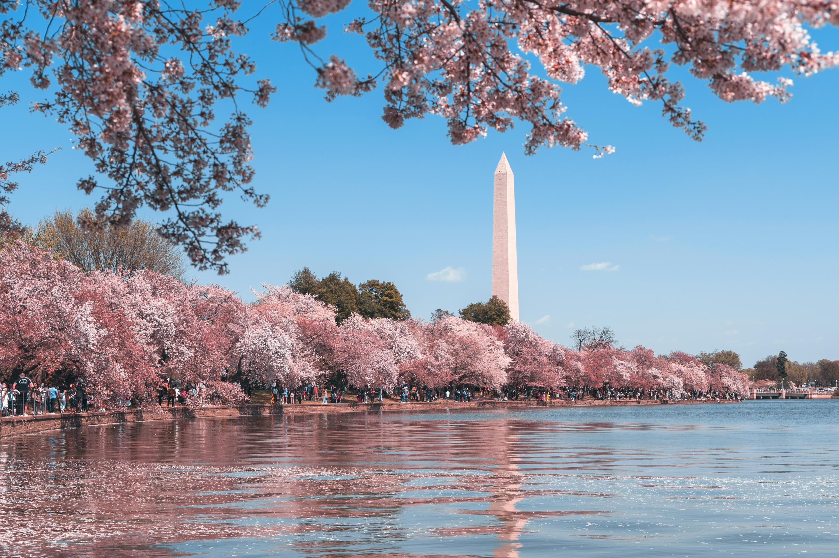 Washington D.C. Tour Packages | Upto 50% Off April Mega SALE
