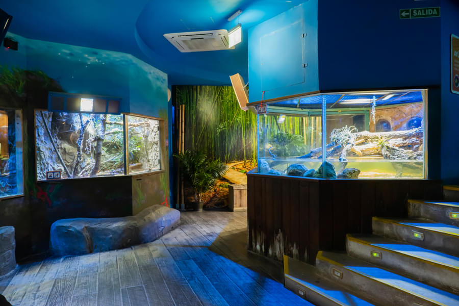 Discover the amazing marine environments and the underwater world at Sea Life Benalmádena
