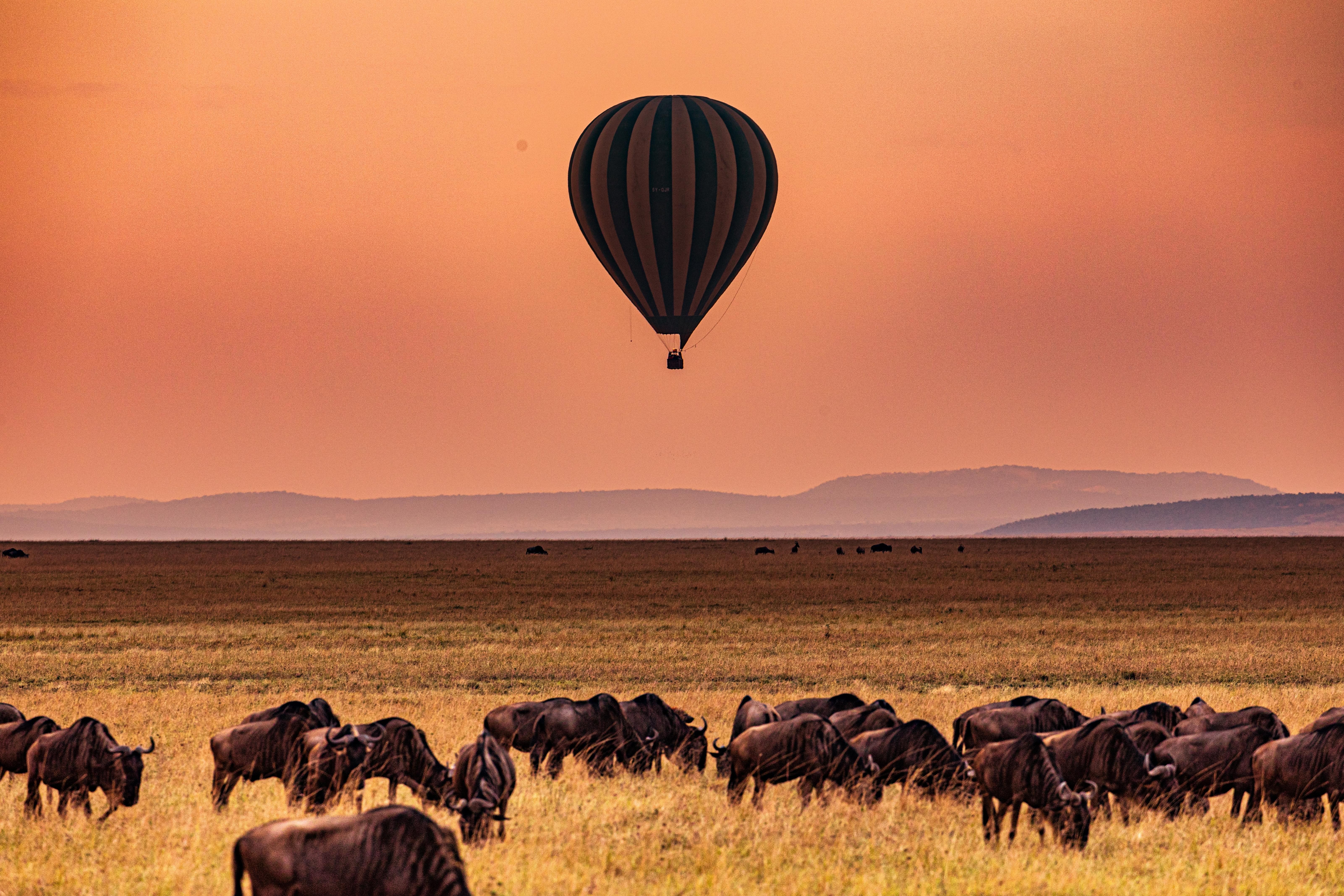Masai Mara National Reserve Tour Packages | Upto 40% Off