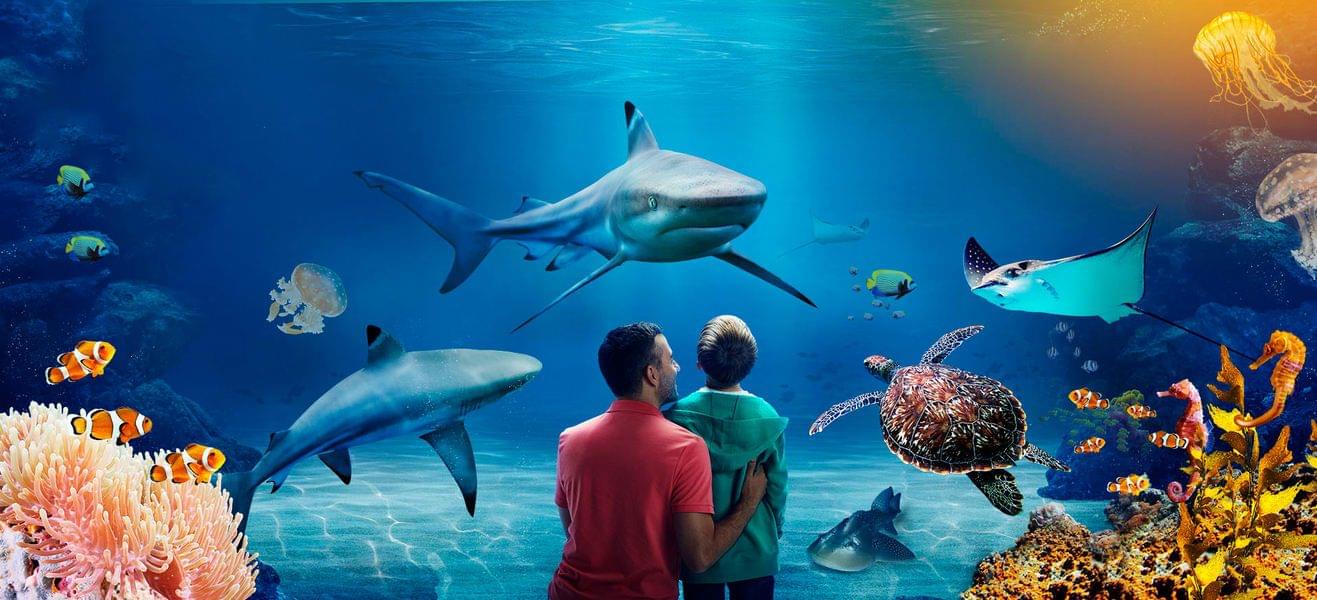 Sea Life Manchester Tickets