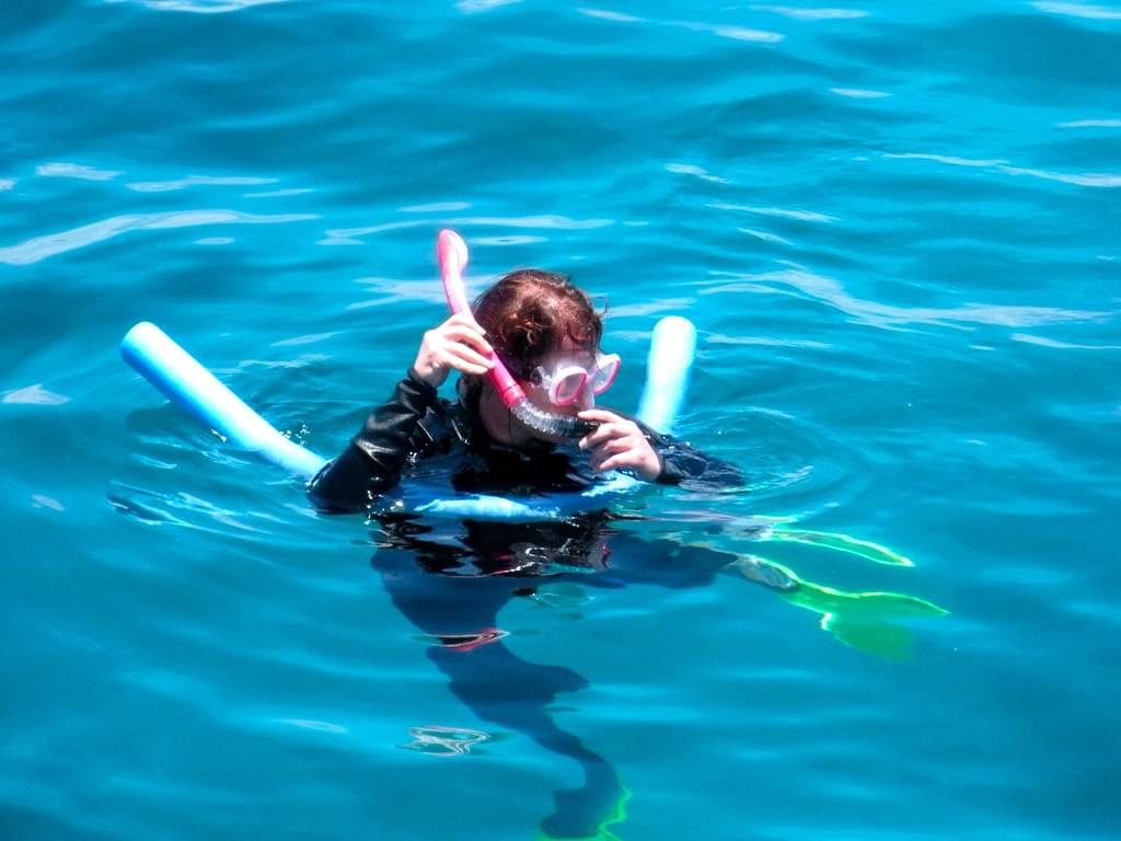 Snorkel in the Marine Sanctuary